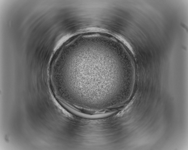 X0000094771381200712071123