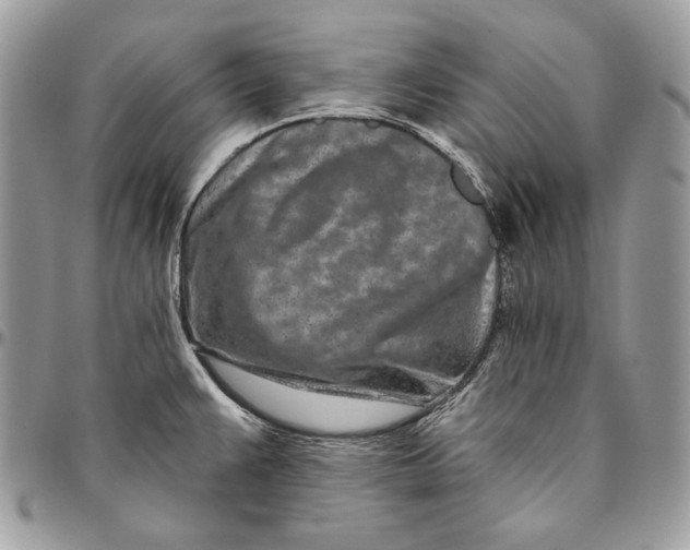 X0000094771383200712071123