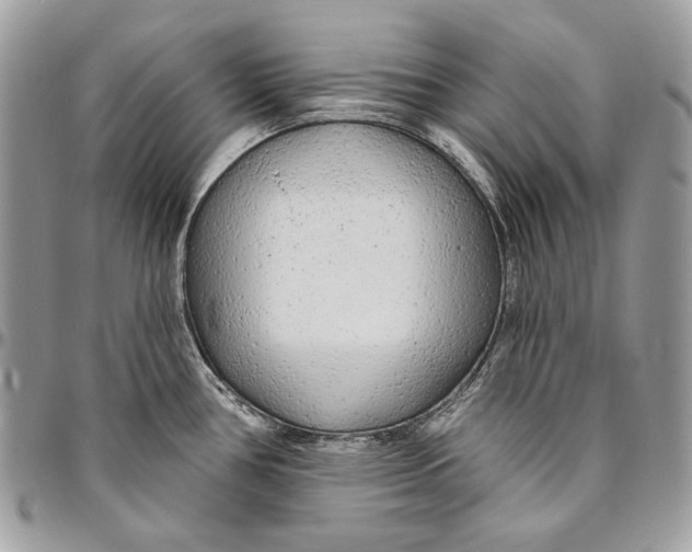 X0000094771386200712071123