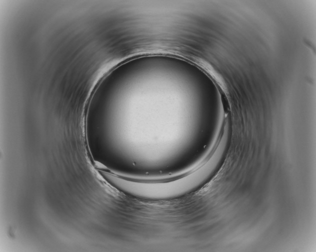 X0000094771388200712071123