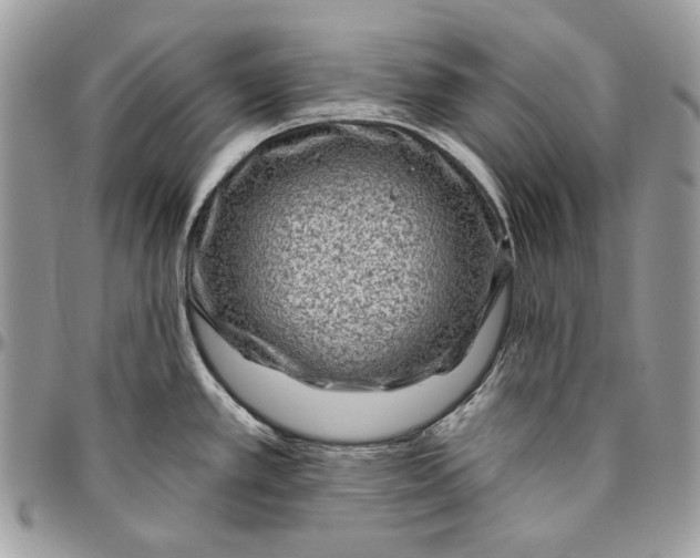 X0000094771389200712071123