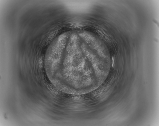 X0000094771395200712071122