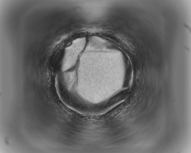 X0000094771398200712071122