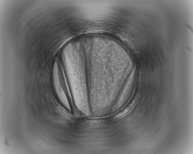 X0000094771401200712071122