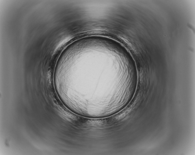 X0000094771402200712071122