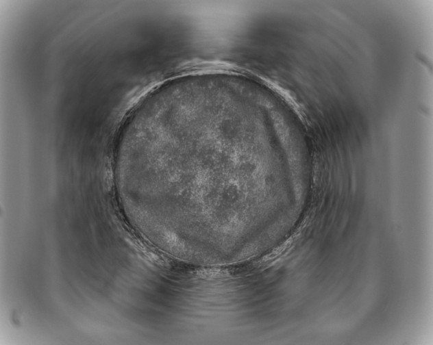 X0000094771407200712071123