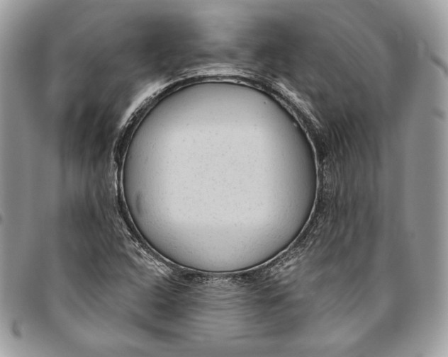 X0000094771408200712071123