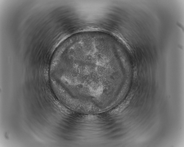 X0000094771409200712071123