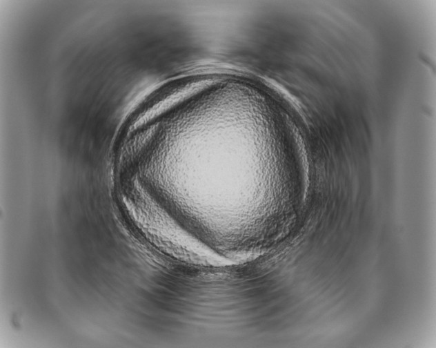 X0000094771415200712071123