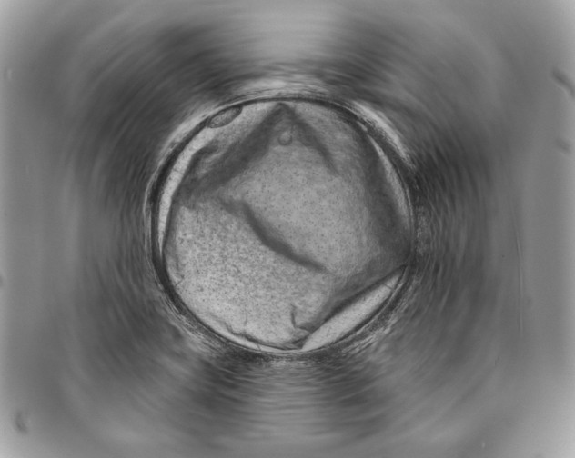 X0000094771419200712071123