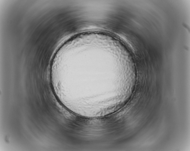 X0000094771421200712071123