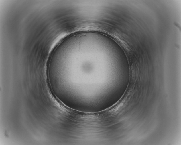 X0000094771422200712071123