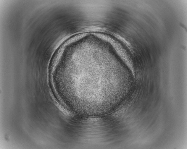 X0000094771423200712071123