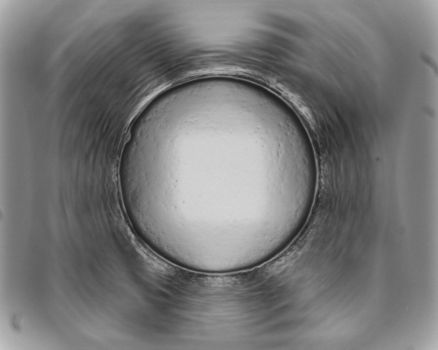 X0000094771425200712071123