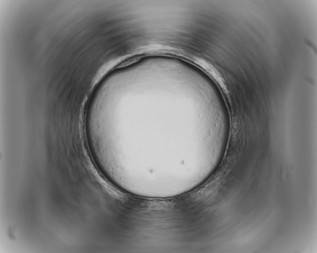 X0000094771429200712071123