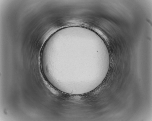 X0000094771431200712071123