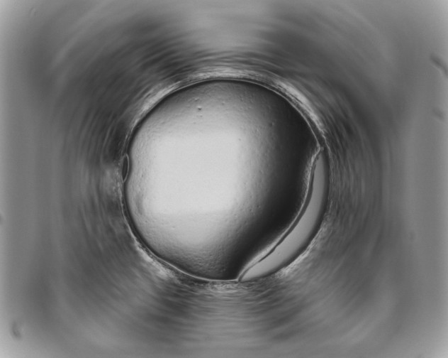 X0000094771433200712071123