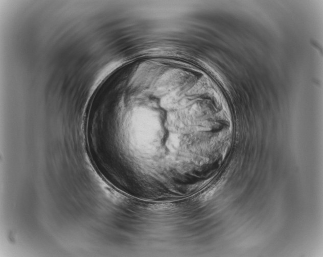 X0000094771434200712071123