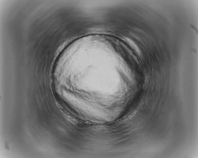 X0000094771435200712071123