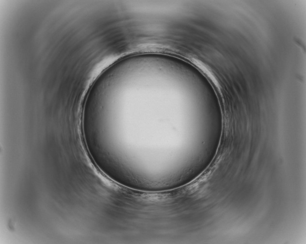 X0000094771437200712071123