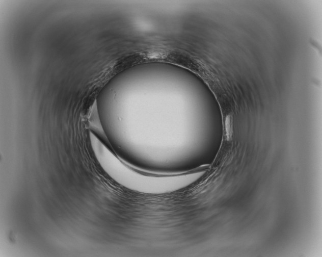 X0000094771443200712071122