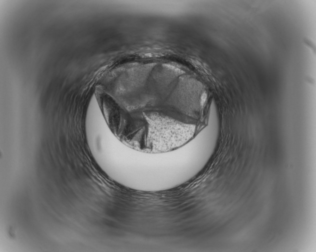 X0000094771444200712071122