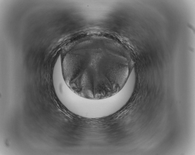 X0000094771445200712071122