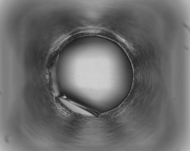 X0000094771448200712071122