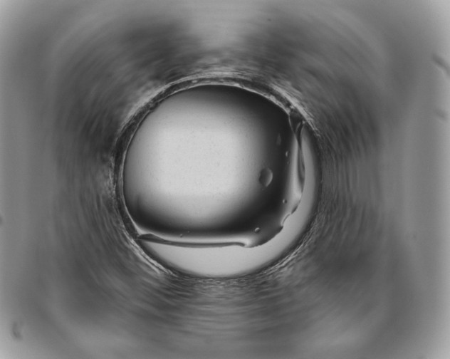 X0000094771452200712071122