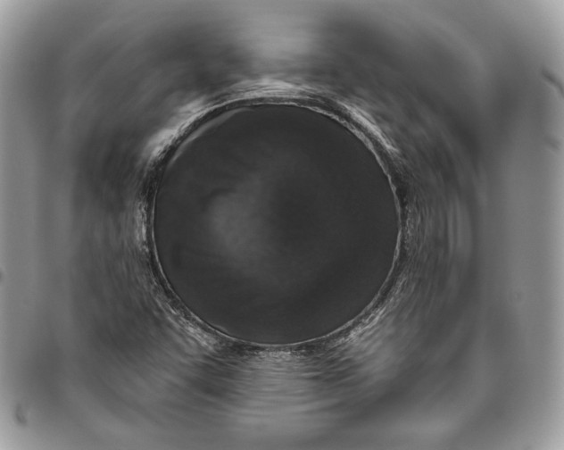 X0000094771455200712071122