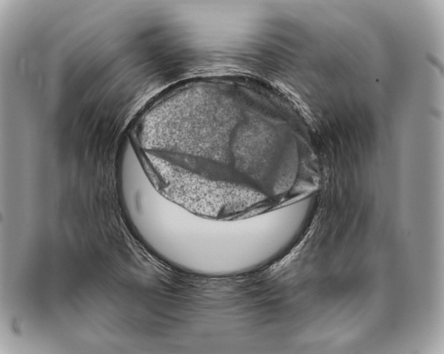 X0000094771457200712071122