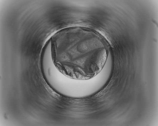 X0000094771460200712071122