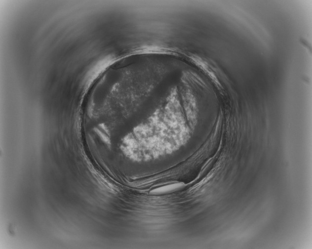 X0000094771463200712071122