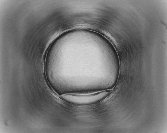 X0000094771467200712071122