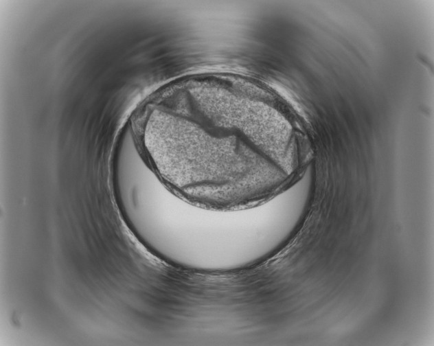 X0000094771468200712071122