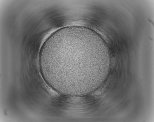 X0000094771470200712071122