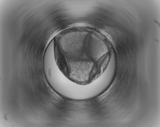 X0000094771473200712071122