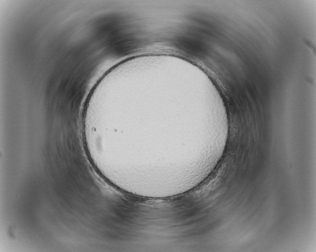 X0000094771478200712071122