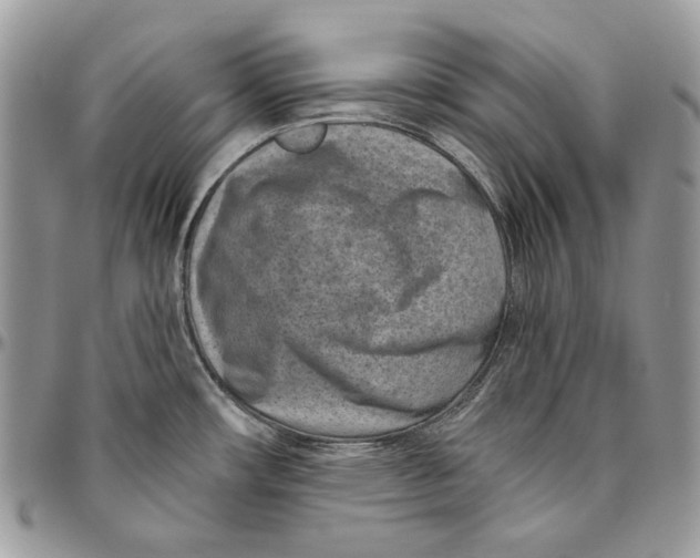 X0000094771482200712071122