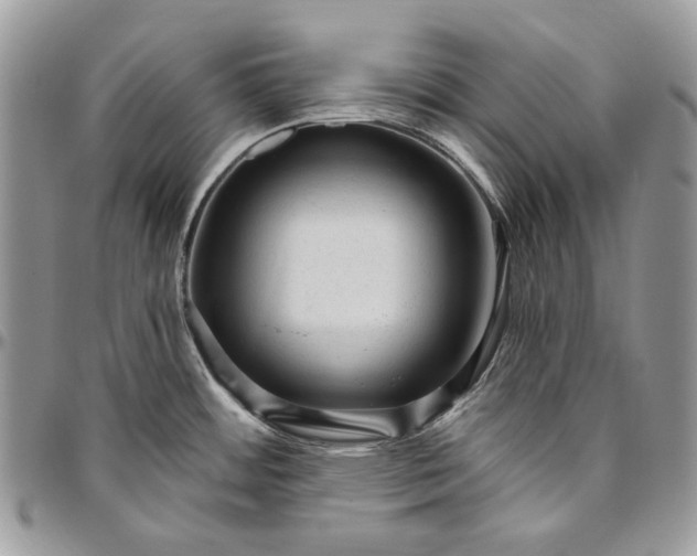 X0000094771484200712071122