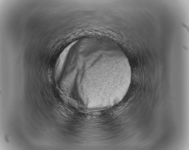 X0000094771490200712071121