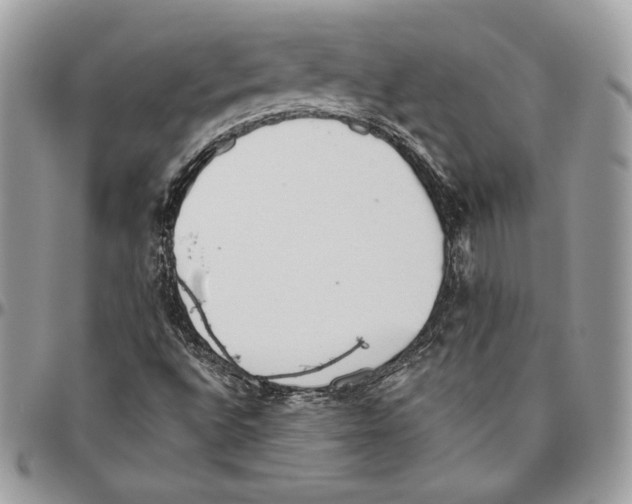 X0000094771496200712071121