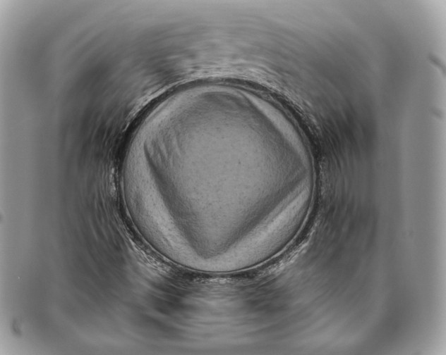 X0000094771497200712071121