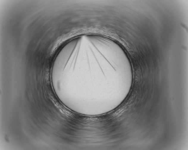 X0000094771499200712071121