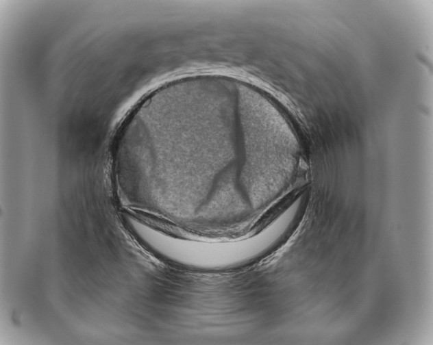 X0000094771502200712071121