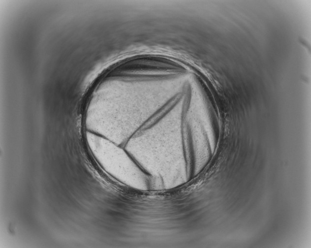 X0000094771503200712071121