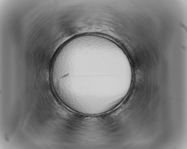 X0000094771505200712071121