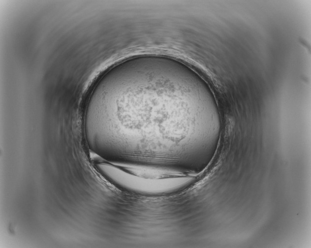 X0000094771506200712071121