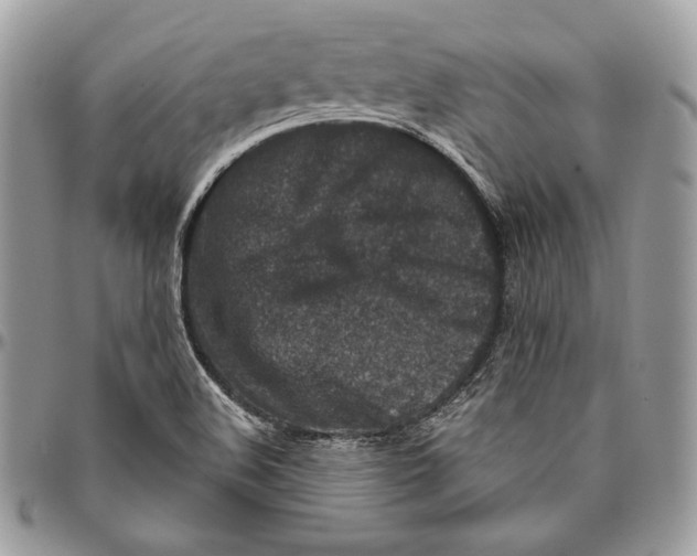 X0000094771508200712071121