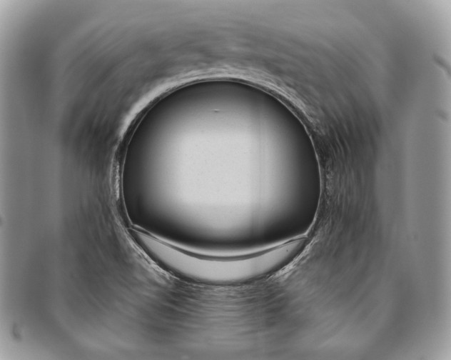 X0000094771510200712071121